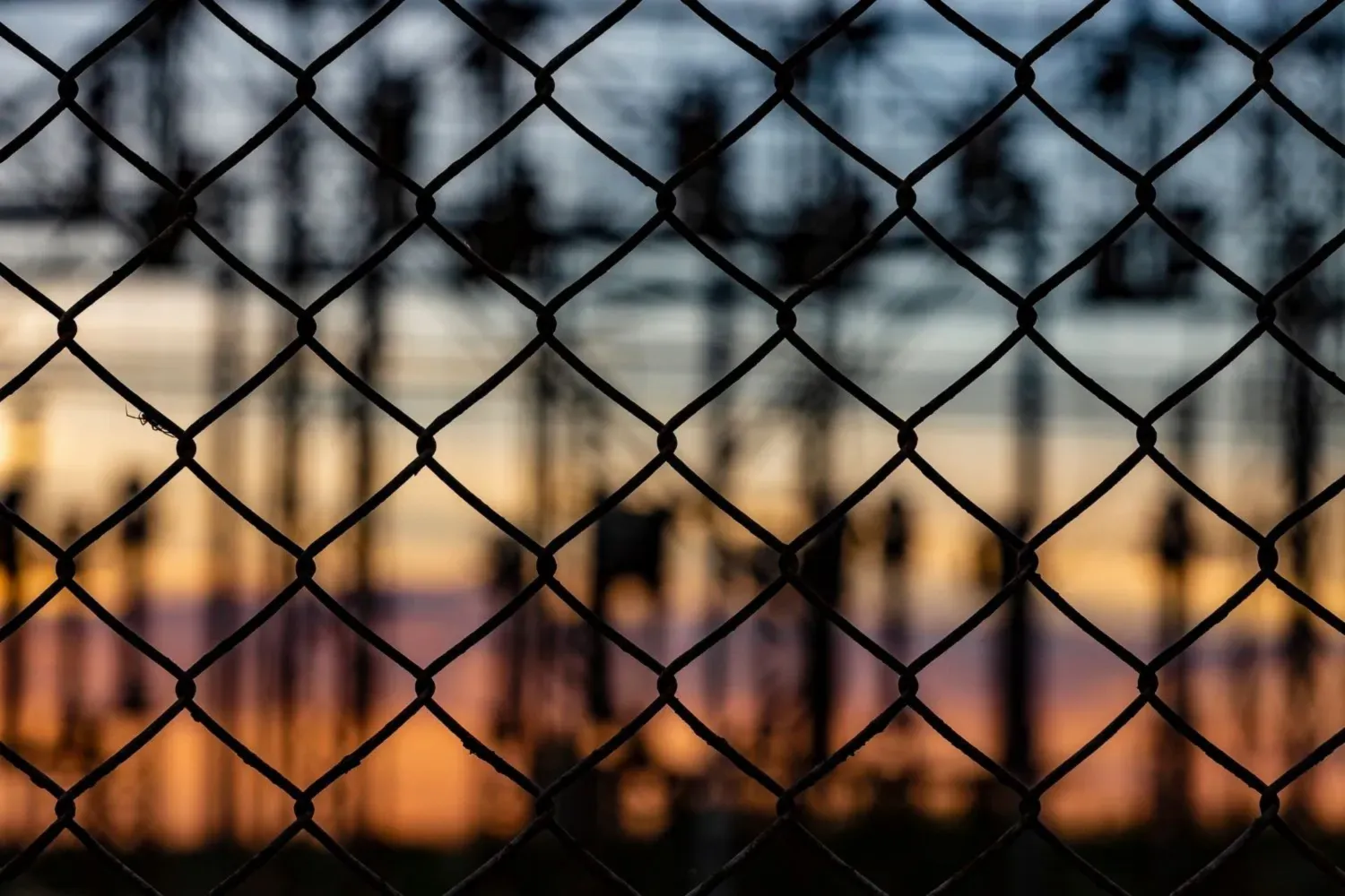 kafes tel temizliği